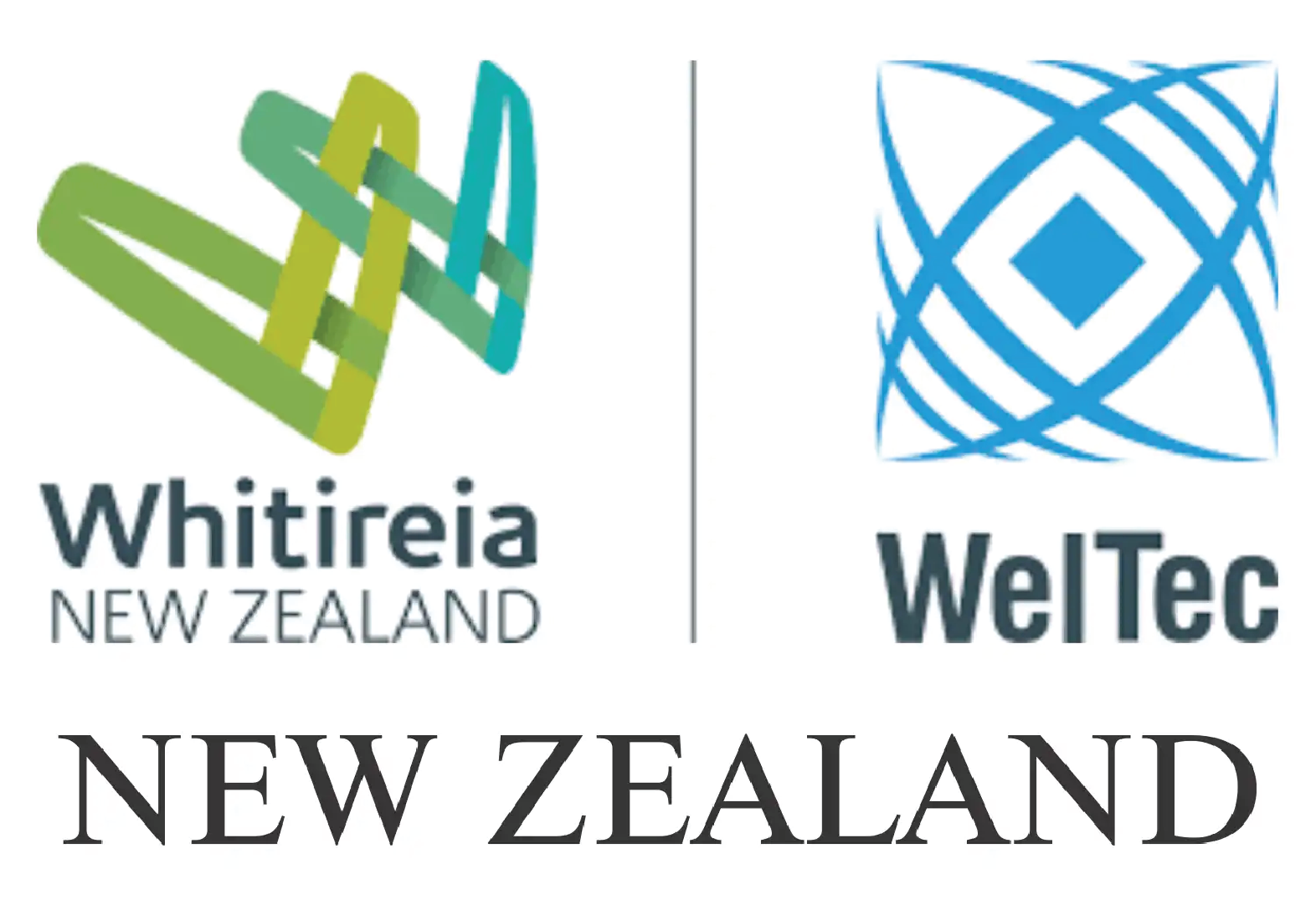 International partner logo 1